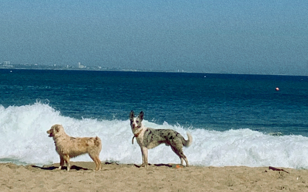 Screenshot-2023-09-07-at-10.18.37-AM-edited