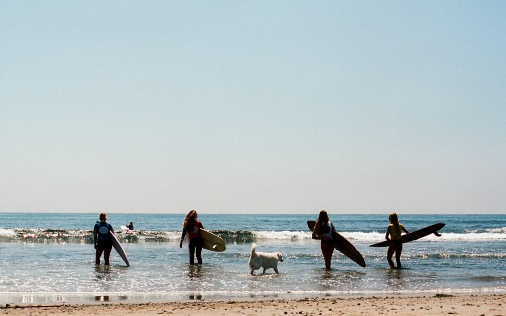 Screenshot-2023-09-07-at-10.18.49-AM-2-edited