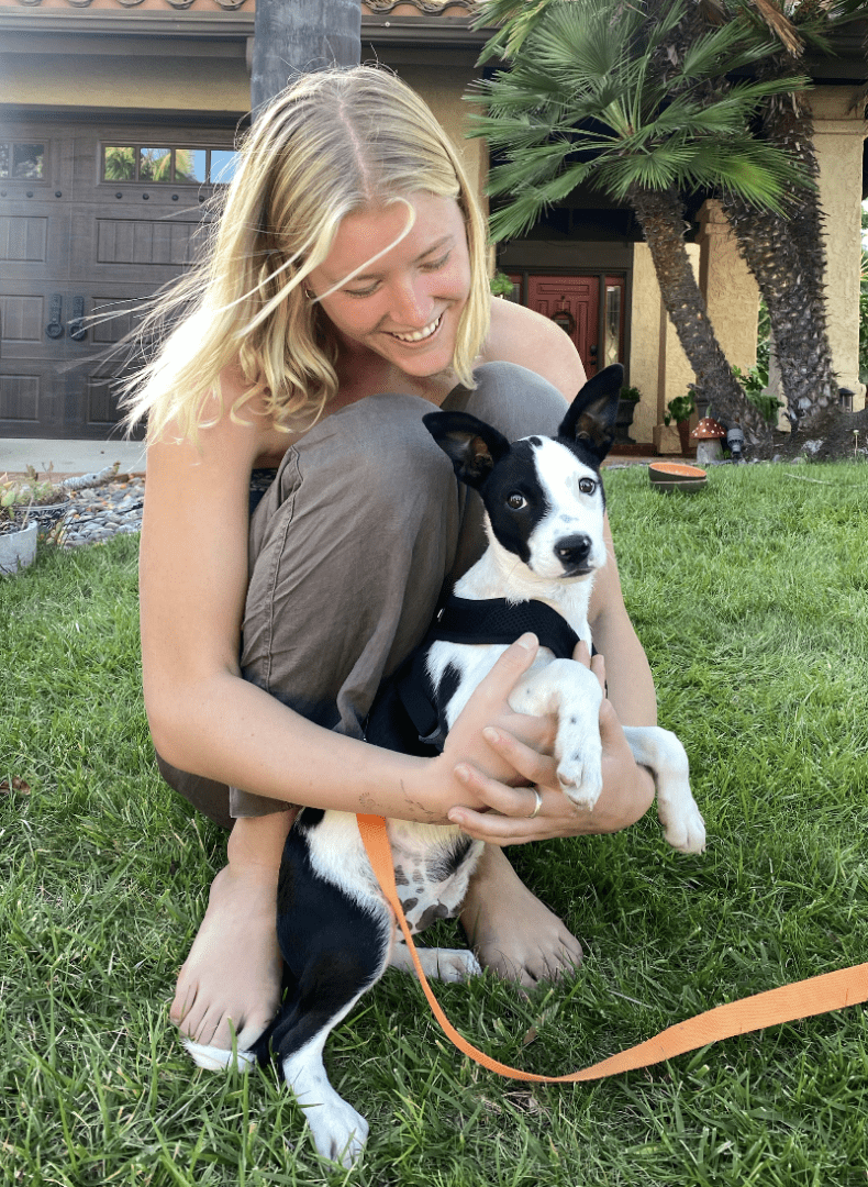 Screenshot 2023-12-24 at 1.19.45 PM