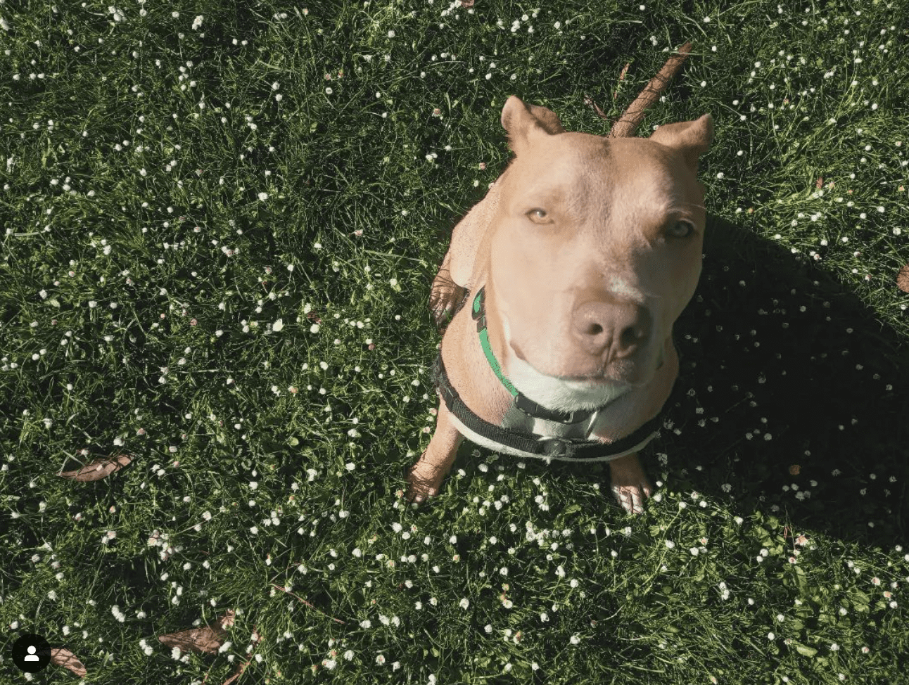 Screenshot 2024-06-20 at 6.50.56 PM